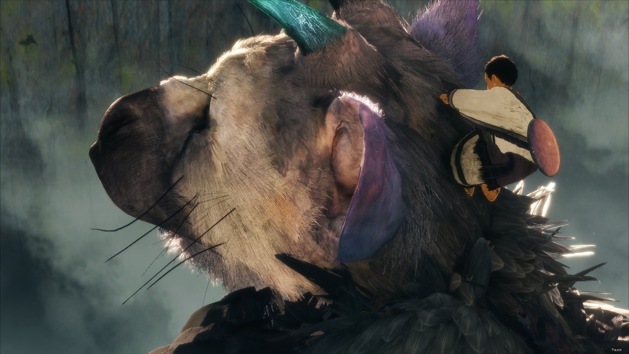 紹介映像を再生する