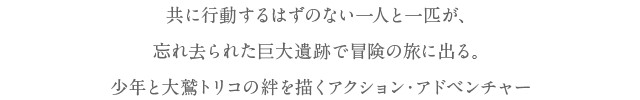 共に行動するはずのない一人と一匹が、忘れ去られた巨大遺跡で冒険の旅に出る。少年と大鷲トリコの絆を描くアクション・アドベンチャー