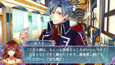 新装版 魔法使いとご主人様 Vita QuinRose クインロゼ | QuinRose ...