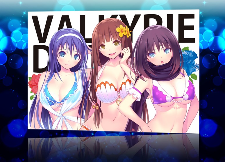 Valkyrie Drive Bhikkhuni ソフトウェアカタログ プレイステーション オフィシャルサイト